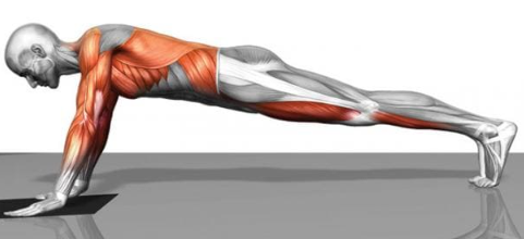 أفضل 10 تمارين لتقوية عضلات البطن للمرأة